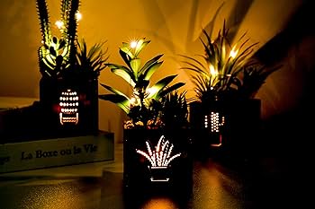 Amazon｜人工多肉植物 人工観葉植物三種セット 木箱にLEDライト